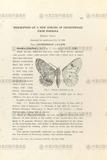 gW:Description of a new species of Geometridae from Formosa