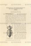 gW:Description of a new species belonging to the family Cerambycidae from Formosa