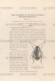 gW:First supplement to the fauna of Korean Chrysomelid-Beetles (II)