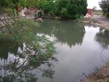 名稱:保生村魚池