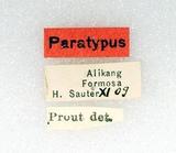 {βզX:Percnia  luridaria nominoneura Prout 1914