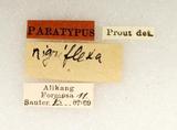 PW:Ectropis nigriflex Prout 1914
