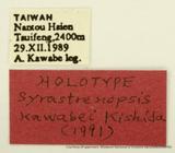 {βզX:Syrastrenopsis kawabei Kishida' 1991
