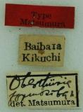 {βզX:Oberthueria formosibia Matsumura 1927