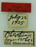 {βզX:Oberthueria formosibia Matsumura 1927