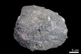 中文名:角礫岩(NMNS000053-P000159)英文名:Breccia(NMNS000053-P000159)