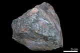 中文名:角礫岩(NMNS004680-P011326)英文名:Breccia(NMNS004680-P011326)