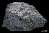 中文名:角礫岩(NMNS004680-P011329)英文名:Breccia(NMNS004680-P011329)