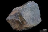 中文名:砂岩(NMNS000163-P000856)英文名:Sandstone(NMNS000163-P000856)