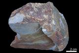 中文名:砂岩(NMNS000166-P000958)英文名:Sandstone(NMNS000166-P000958)