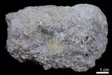 中文名:砂岩(NMNS003506-P006824)英文名:Sandstone(NMNS003506-P006824)