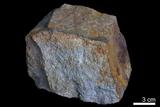 中文名:砂岩(NMNS000049-P000172)英文名:Sandstone(NMNS000049-P000172)