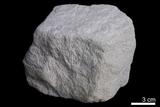 中文名:砂岩(NMNS002019-P004158)英文名:Sandstone(NMNS002019-P004158)