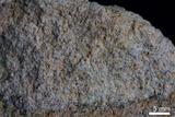 中文名:砂岩(NMNS004105-P008261)英文名:Sandstone(NMNS004105-P008261)