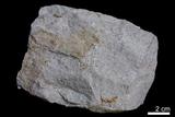 中文名:砂岩(NMNS000098-P000447)英文名:Sandstone(NMNS000098-P000447)