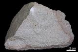 中文名:砂岩(NMNS000047-P000695)英文名:Sandstone(NMNS000047-P000695)