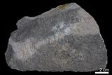 中文名:砂岩(NMNS000047-P000695)英文名:Sandstone(NMNS000047-P000695)