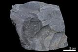 中文名:泥岩(NMNS004426-P008997)英文名:Mudstone(NMNS004426-P008997)