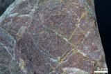 中文名:燧石(NMNS004662-P011259)英文名:Chert(NMNS004662-P011259)