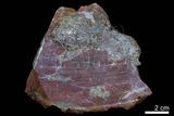 中文名:燧石(NMNS004680-P011292)英文名:Chert(NMNS004680-P011292)