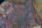 中文名:燧石(NMNS004680-P011292)英文名:Chert(NMNS004680-P011292)