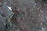 中文名:燧石(NMNS004664-P011530)英文名:Chert(NMNS004664-P011530)