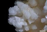 中文名:鐘乳石(NMNS001010-P003553)英文名:Stalactite(NMNS001010-P003553)