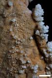 中文名:石灰華(NMNS001010-P003550)英文名:Travertine(NMNS001010-P003550)