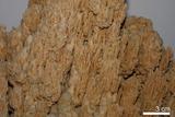 中文名:石灰華(NMNS001010-P003559)英文名:Travertine(NMNS001010-P003559)