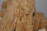 中文名:石灰華(NMNS001010-P003559)英文名:Travertine(NMNS001010-P003559)