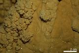 中文名:石灰華(NMNS001010-P003566)英文名:Travertine(NMNS001010-P003566)