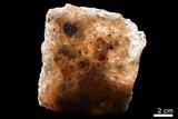 中文名:蒸發岩(NMNS002666-P004622)英文名:Evaporite(NMNS002666-P004622)