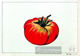 トマト﹙蕃茄﹚