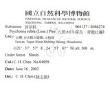 中文名：九節木中文別名：牛屎烏青龍吐霧英文名：Wild Coffee學名：Psychotria rubra (Lour.) Poir