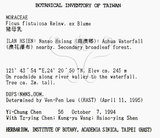 中文名：豬母乳中文別名：水同木英文名：Milk tree學名：Ficus fistulosa Reinw. ex Blume