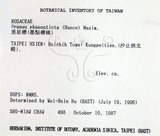 中文名：墨點櫻桃中文別名：黑星櫻英文名：Dark-spotted Cherry學名：Prunus phaeosticta (Hance) Maxim