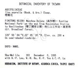 中文名：燈稱花中文別名：烏雞骨英文名：Rough-leaved holly學名：Ilex asprella (Hook. & Arn.) Champ