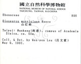 WGsU