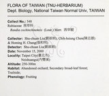 中文名：茜草樹英文名：Cochinchina Randia學名：Randia cochinchinensis (Lour.) Merr