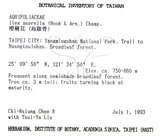 中文名：燈稱花中文別名：烏雞骨英文名：Rough-leaved holly學名：Ilex asprella (Hook. & Arn.) Champ