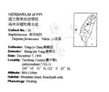 中文名：山香圓英文名：Formosam turpinia學名：Turpinia formosana Nakai