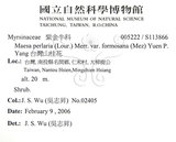 中文名：台灣山桂花英文名：Taiwan Maesa學名：Maesa perlaria (Lour.) Merr. var. formosana (Mez) Yuen P. Yang