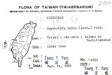 中文名：九節木中文別名：牛屎烏青龍吐霧英文名：Wild Coffee學名：Psychotria rubra (Lour.) Poir