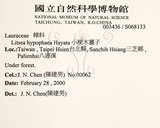 中文名：黃肉樹學名：Litsea hypophaea Hayata