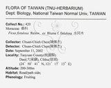 中文名：豬母乳中文別名：水同木英文名：Milk tree學名：Ficus fistulosa Reinw. ex Blume