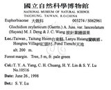 中文名：披針葉饅頭果英文名：Lanceolate-leaved Glochidion學名：Glochidion zeylanicum (Gaertn.) A. Juss. var. lanceolatum (Hayata) M. J. Deng & J. C. Wang