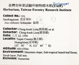 中文名：鼠刺英文名：Formosan Sweetspire學名：Itea oldhamii Schneider