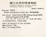 中文名：茜草樹英文名：Cochinchina Randia學名：Randia cochinchinensis (Lour.) Merr