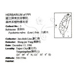 中文名：九節木中文別名：牛屎烏青龍吐霧英文名：Wild Coffee學名：Psychotria rubra (Lour.) Poir