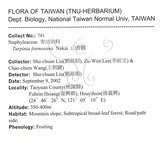 中文名：山香圓英文名：Formosam turpinia學名：Turpinia formosana Nakai